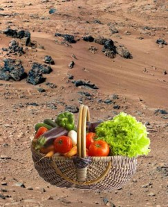 来自月球和火星的中国蔬菜